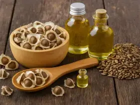 Bulk organic seed oils wholesale supplier USA