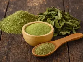 Conventional bulk ingredients wholesale supplier