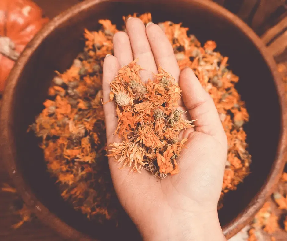 Bulk dried calendula petals wholesale