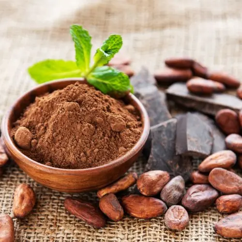 Polvo de Cacao (Orgánico)