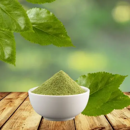 Mulberry Leaf Powder (Organic)