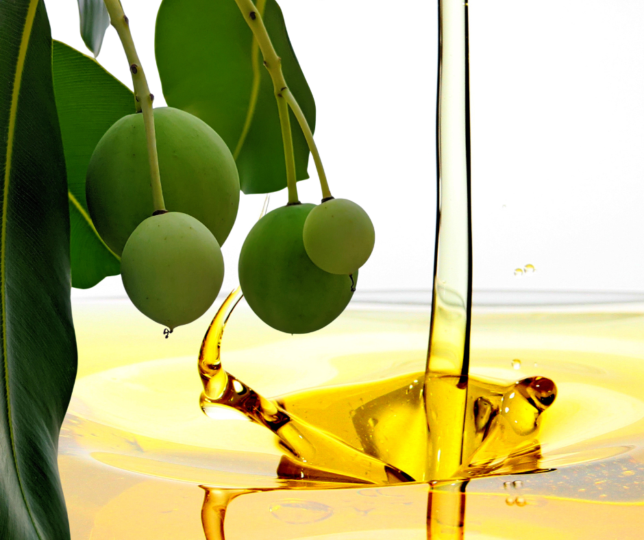 Aceite de Semilla de Tamanu