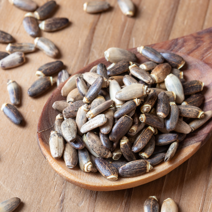 Semilla de Cardo Mariano Orgánico