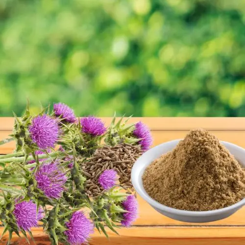 Milk Thistle Seed Powder (Organic)