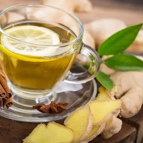 Té de Jengibre (Orgánico)