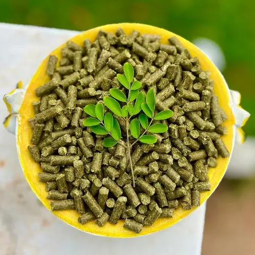 Moringa Pellets (Animal Grade) (Conventional)