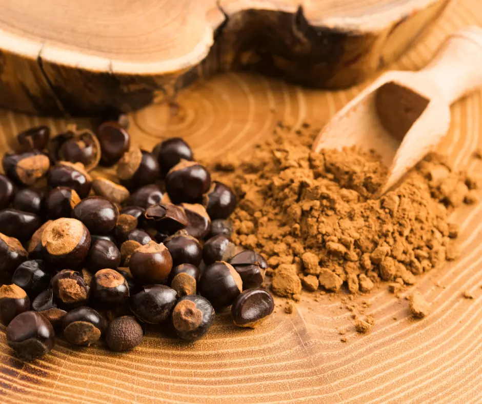 Extracto de Guaraná Convencional en Polvo