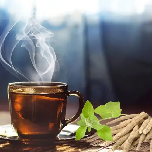Té de Ashwagandha (Orgánico)