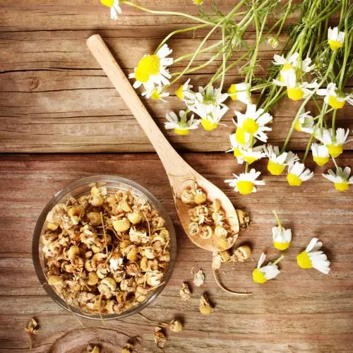 Chamomile Tea (Organic)