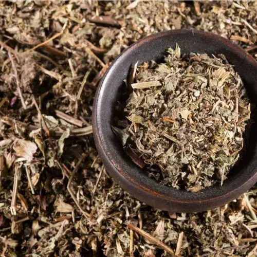 Chanca Piedra Tea (Conventional)