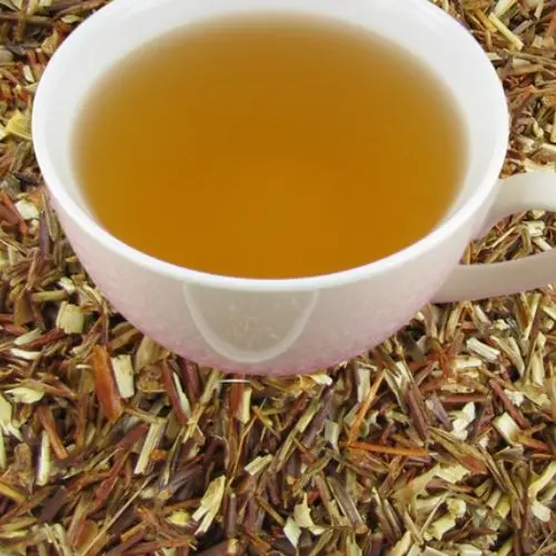 Rooibos Verde (Orgánico)