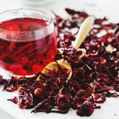 Hibiscus Tea (Organic)