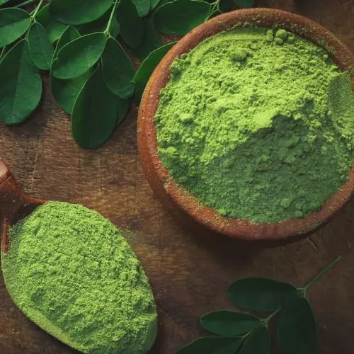 Polvo de Moringa (Premium) (Orgánico)