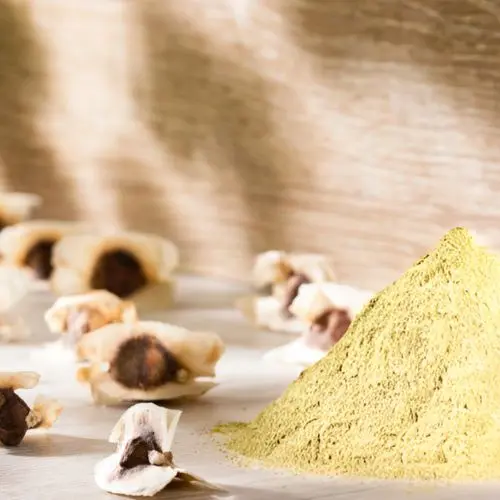 Moringa Seed Protein Powder (Organic)