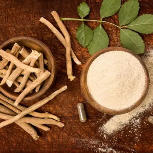  Polvo de Ashwagandha (Orgánico)