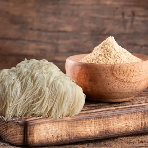 Lion’s Mane Powder (Organic)