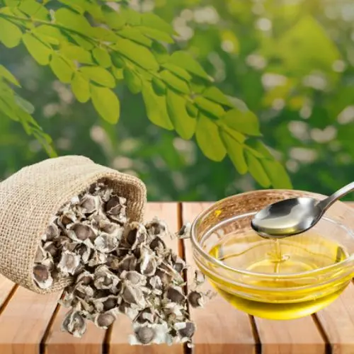 Moringa Seed Oil (Conventional)