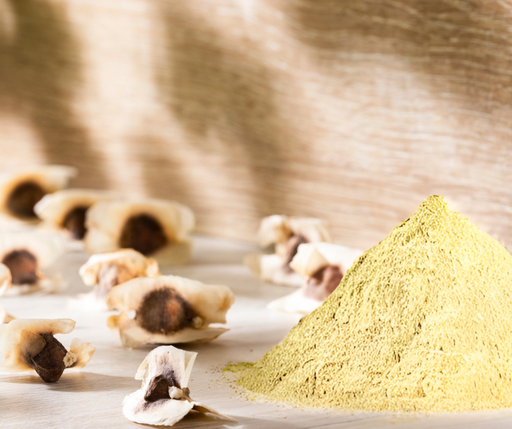 Organic Moringa Seed Protein Powder