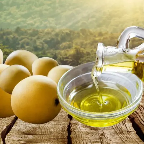Marula Seed Oil (Organic or Conventional)