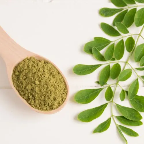 Moringa Leaf Extract 4:1 (Organic or Conventional)
