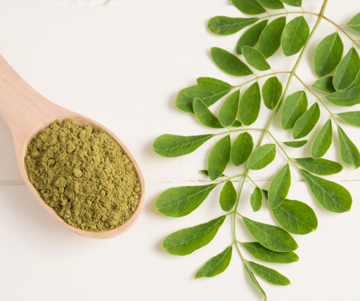 Organic Moringa Leaf Extract 4:1