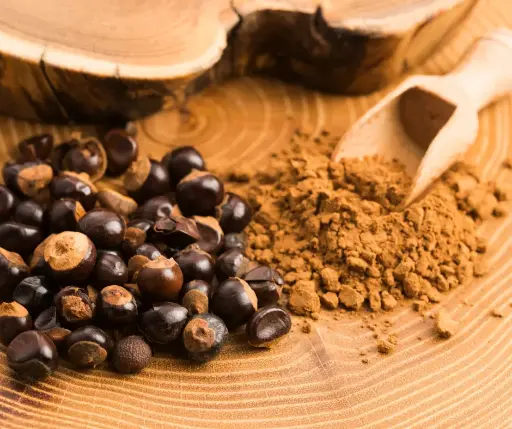 Conventional Guaraná Extract Powder